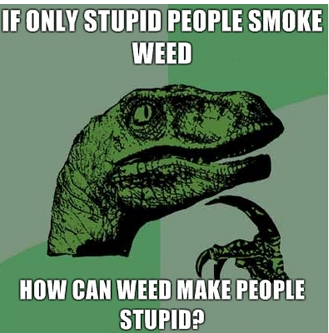 If only stupid people smoke weed ...